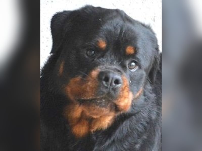 Anoop - Nichts, absolut nichts...