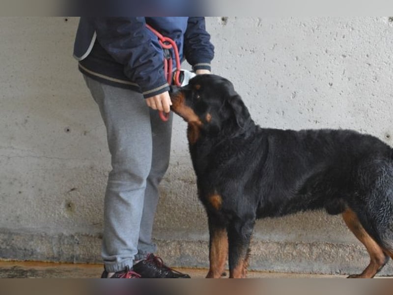 Anoop - Nichts, absolut nichts...