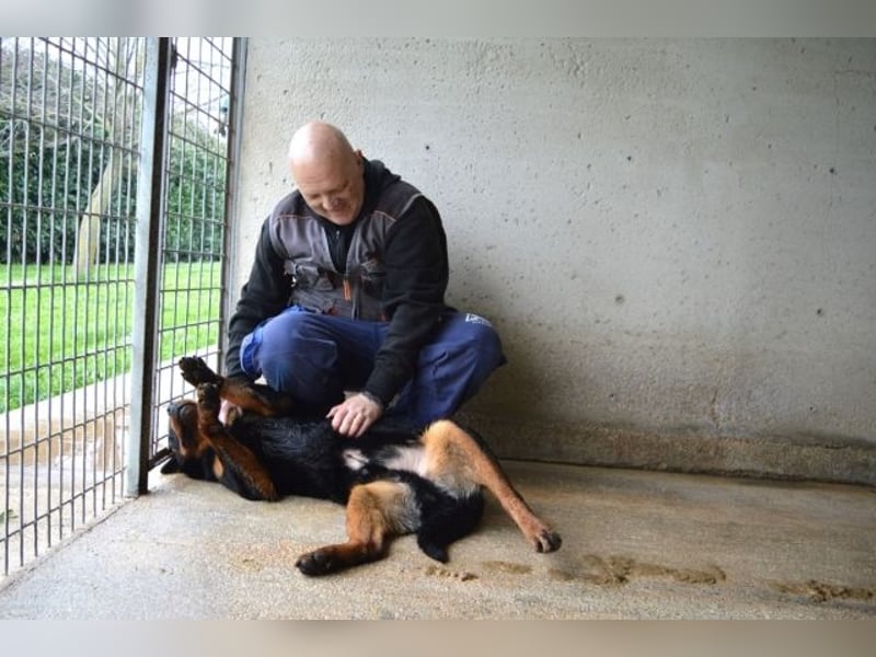 Anoop - Nichts, absolut nichts...