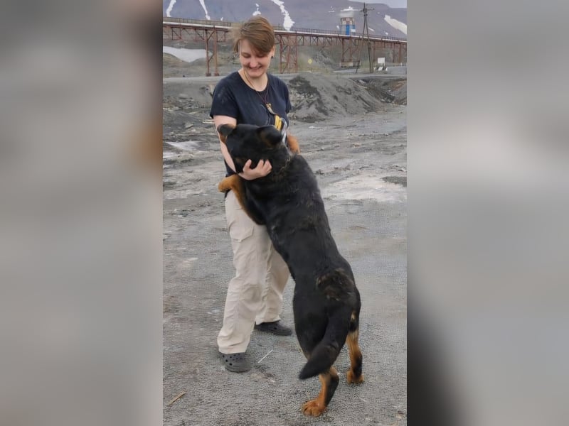 TAISON- sucht dringend ein neues Zuhause
