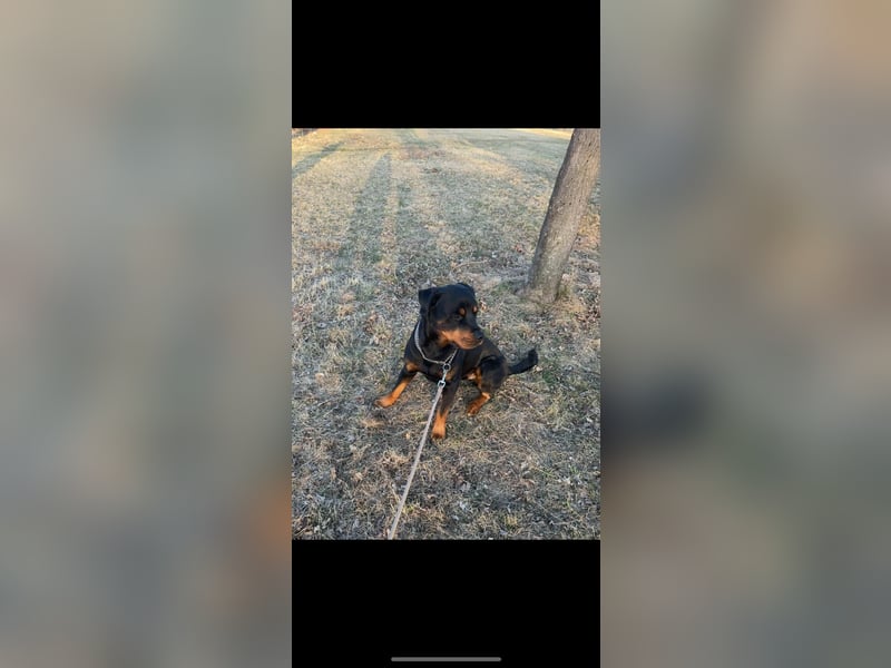 Jack sucht seinen Herzensmenschen