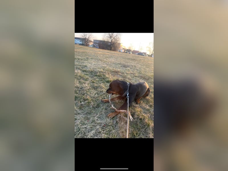 Jack sucht seinen Herzensmenschen