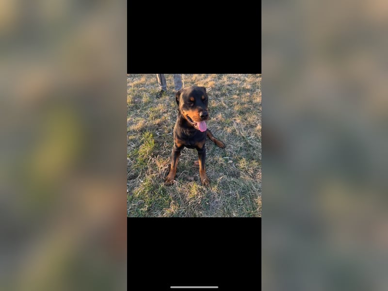 Jack sucht seinen Herzensmenschen