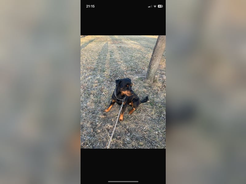 Jack sucht seinen Herzensmenschen