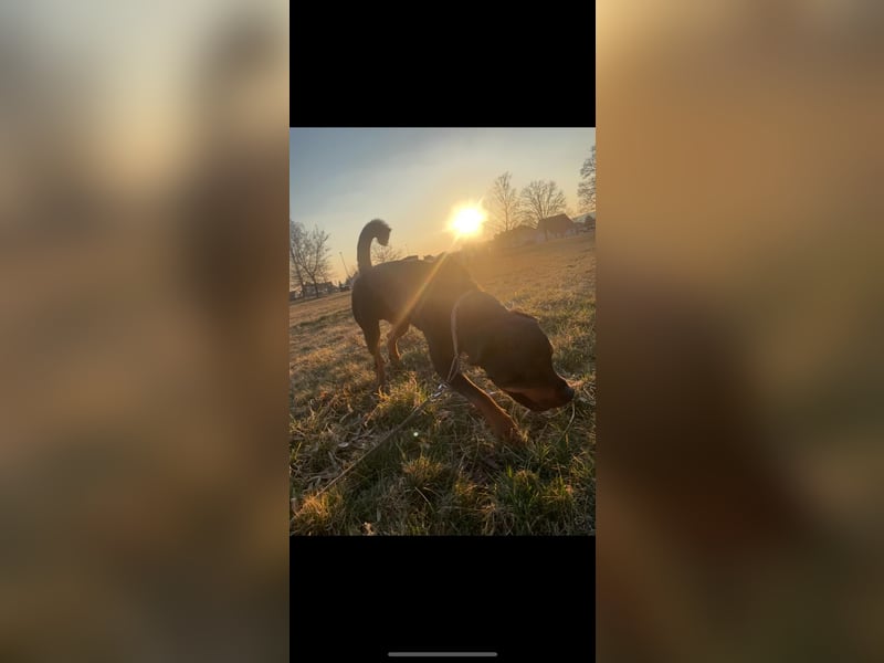 Jack sucht seinen Herzensmenschen