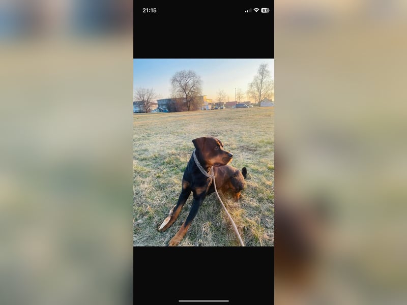Jack sucht seinen Herzensmenschen