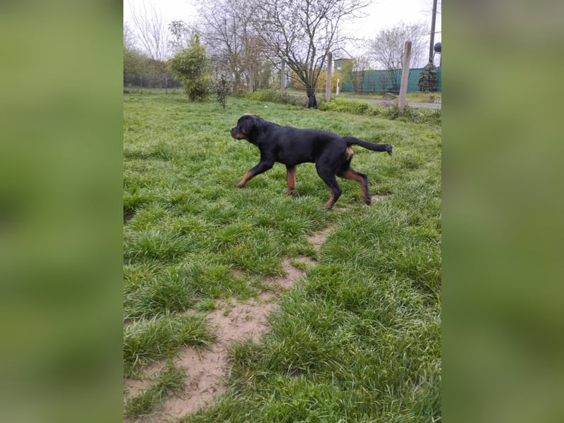 Axel, sucht eine aktive Familie….