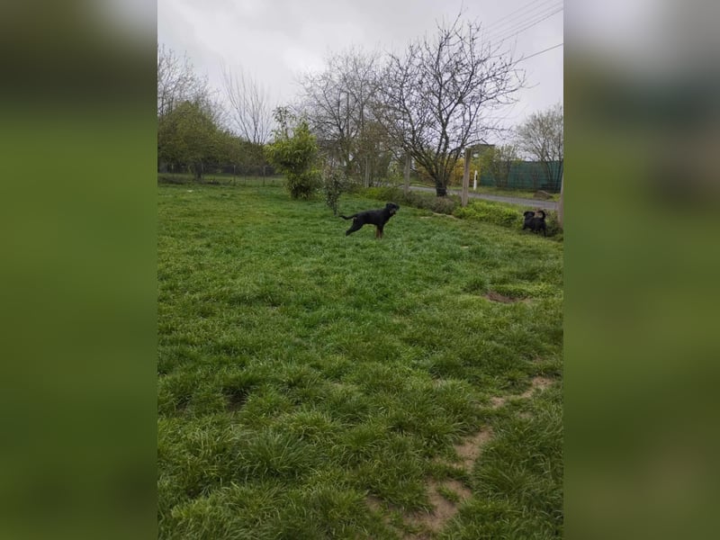 Axel, sucht eine aktive Familie….