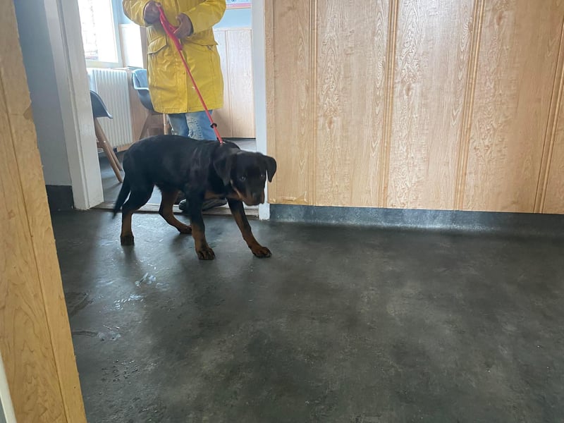 Axel, sucht eine aktive Familie….