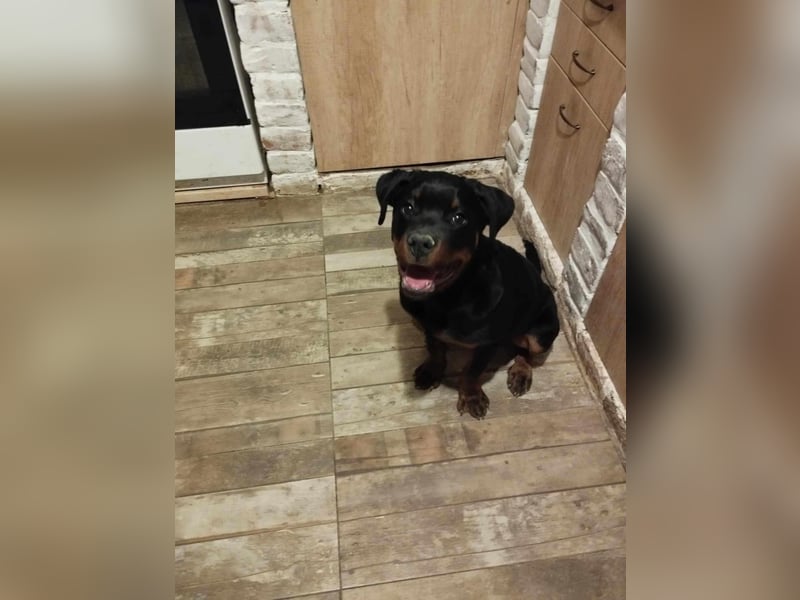 Axel, sucht eine aktive Familie….