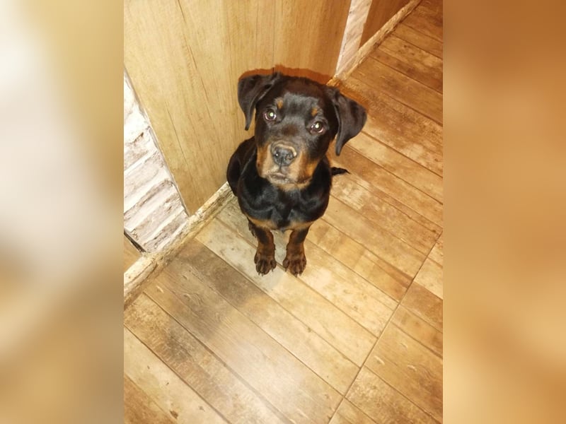Axel, sucht eine aktive Familie….