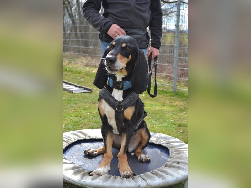 REX wurde geschlagen und musste hungern... REX wurde geschlagen und musste hungern...