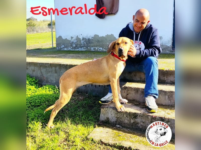 Esmeralda