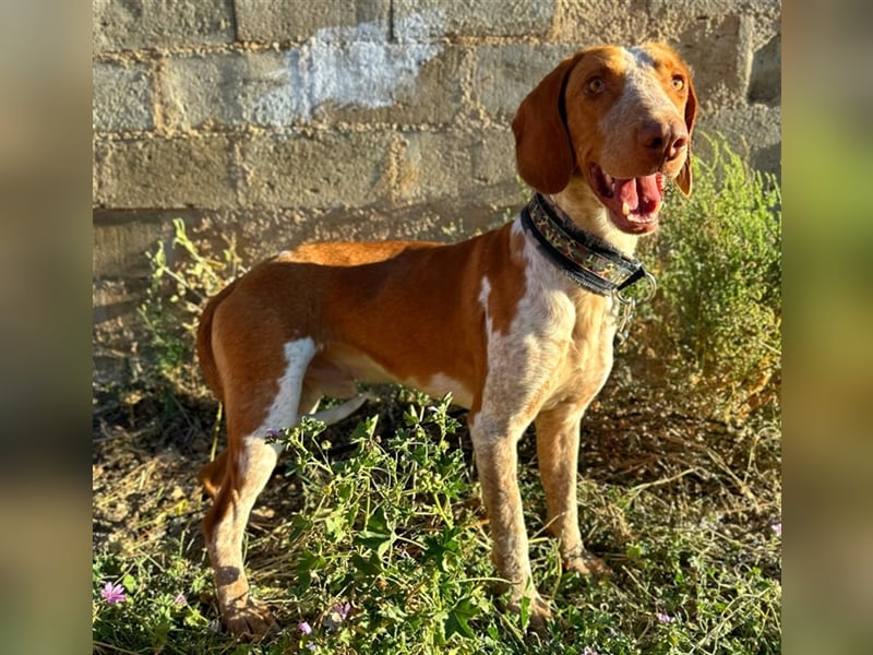 Ringo – Schluss mit der Opferrolle!