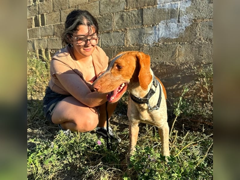 Ringo – Schluss mit der Opferrolle!