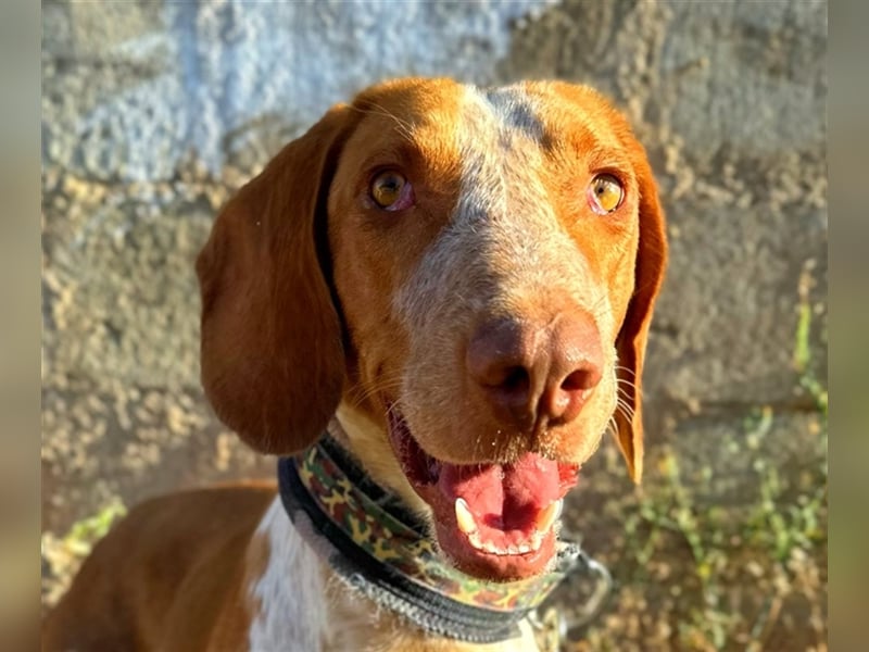 Ringo – Schluss mit der Opferrolle!