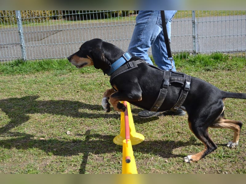 REX wurde geschlagen und musste hungern...
