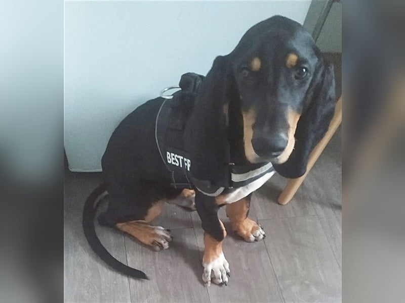 REX wurde geschlagen und musste hungern...