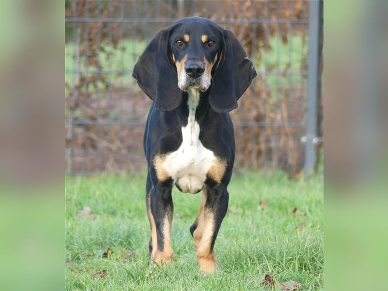 REX wurde geschlagen und musste hungern...