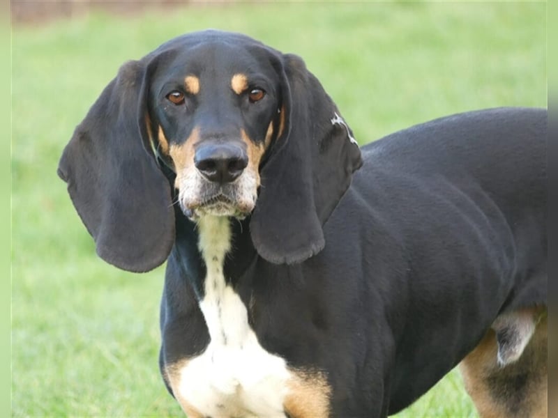 REX wurde geschlagen und musste hungern...