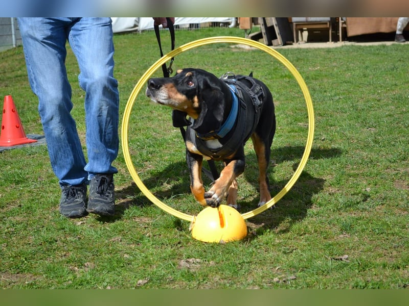 REX wurde geschlagen und musste hungern...