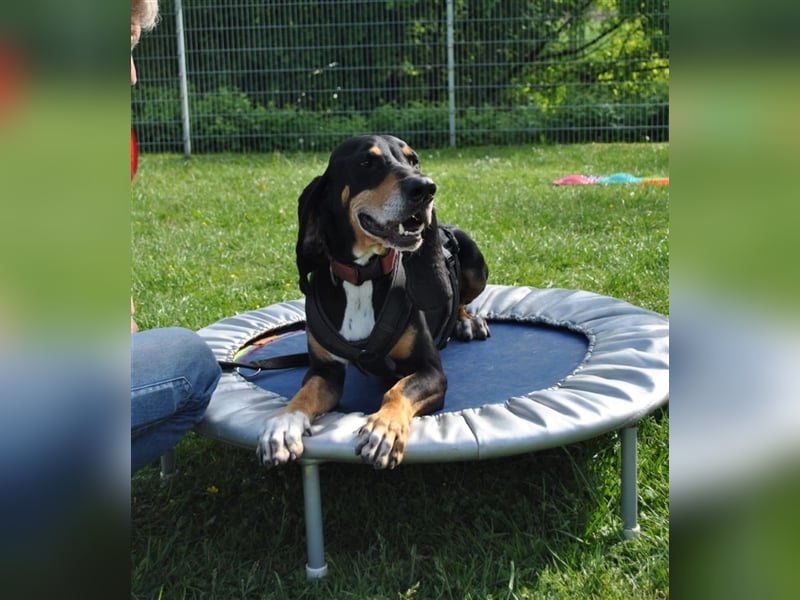 REX wurde geschlagen und musste hungern...