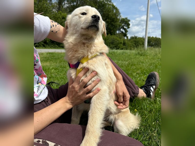 Ängstliche wunderhübsche Cindy