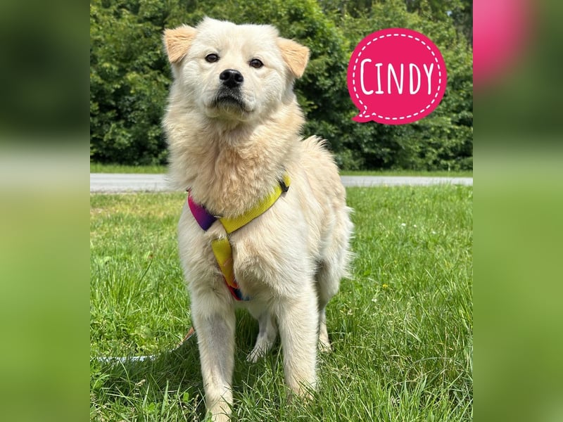 Ängstliche wunderhübsche Cindy