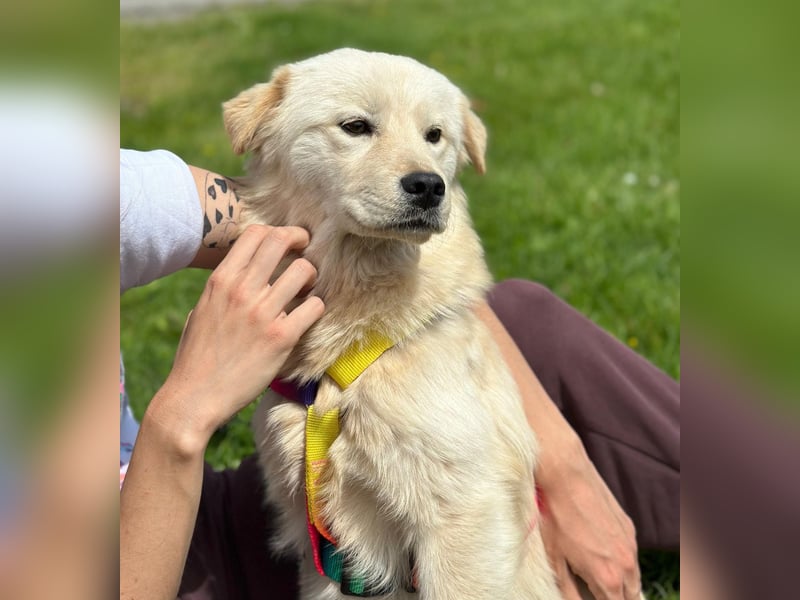 Ängstliche wunderhübsche Cindy