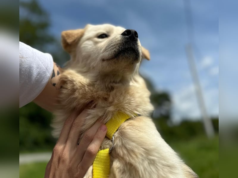 Ängstliche wunderhübsche Cindy