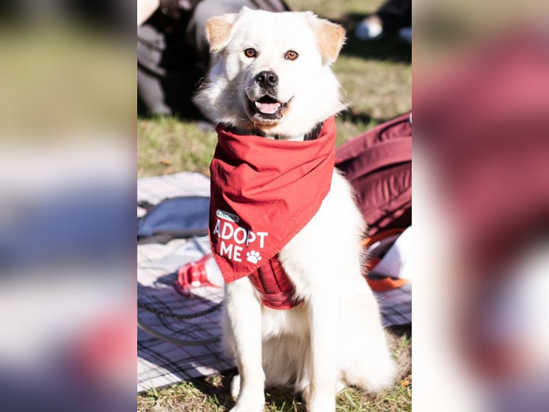 Cindy ❤️ wartet in 12529 Schönefeld