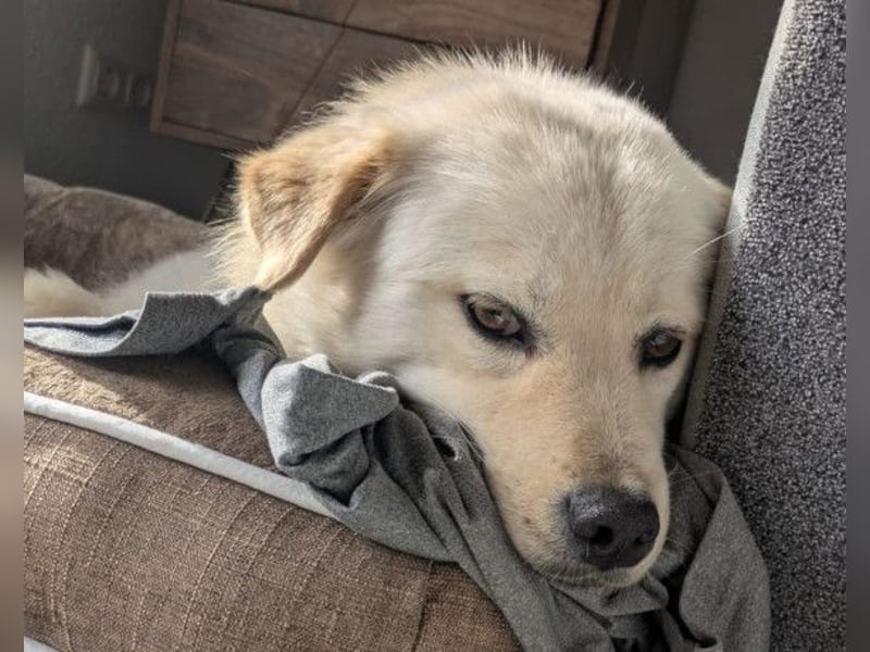 Cindy ❤️ wartet in 12529 Schönefeld