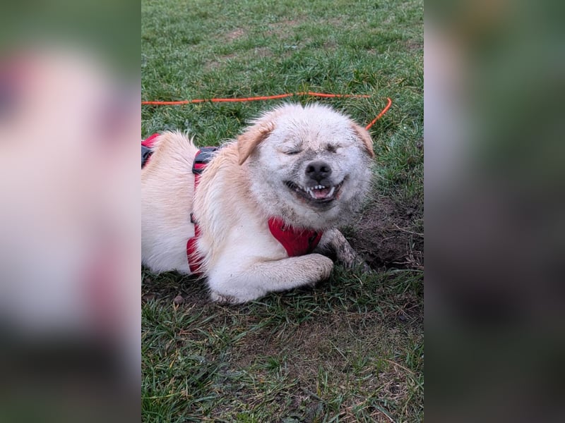 Cindy ❤️ wartet in 12529 Schönefeld