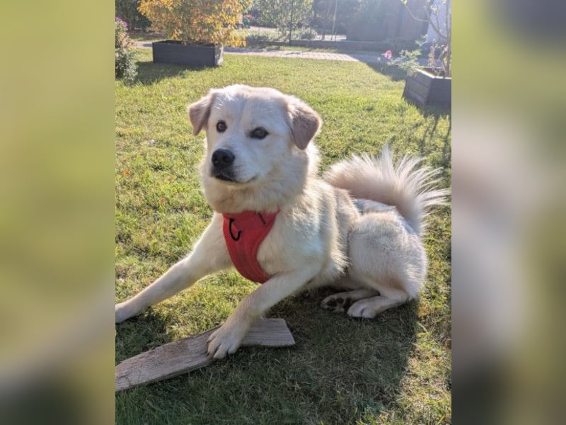 Cindy ❤️ wartet in 12529 Schönefeld