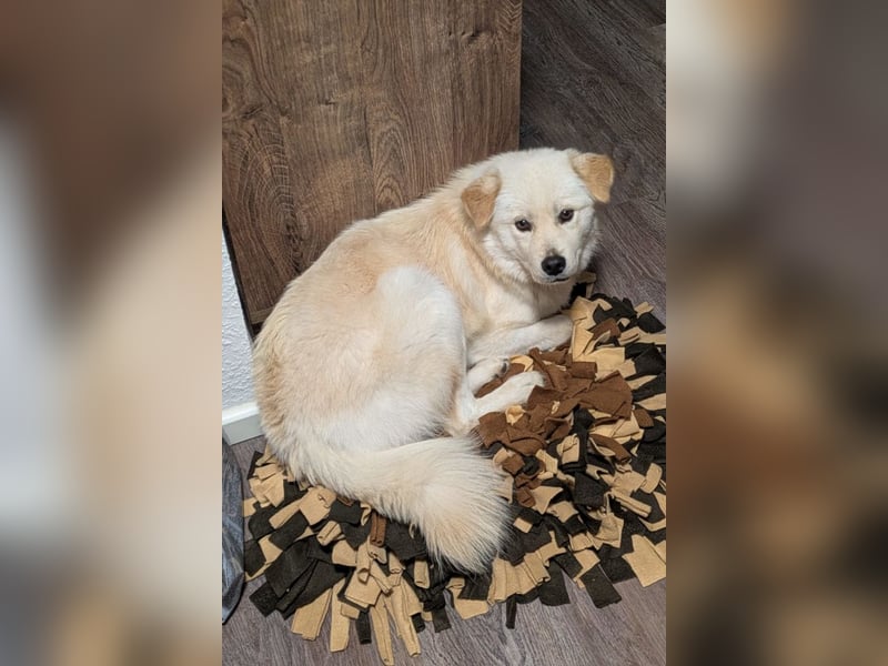 Cindy ❤️ wartet in 12529 Schönefeld