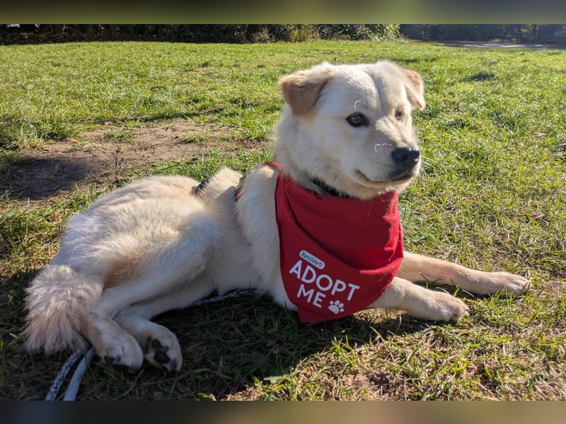 Cindy ❤️ wartet in 12529 Schönefeld