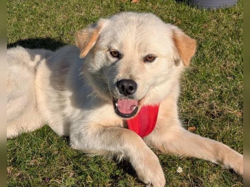 Cindy ❤️ wartet in 12529 Schönefeld