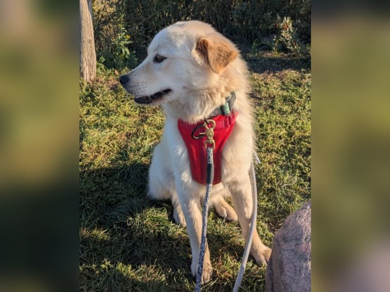 Cindy ❤️ wartet in 12529 Schönefeld