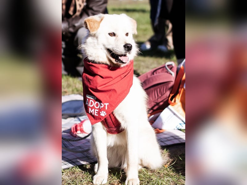 Cindy ❤️ wartet in 12529 Schönefeld