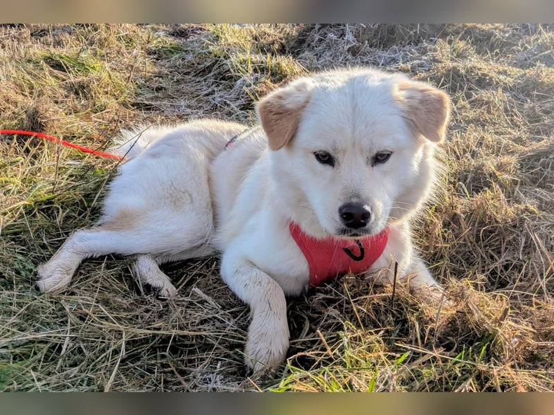 Cindy ❤️ wartet in 12529 Schönefeld