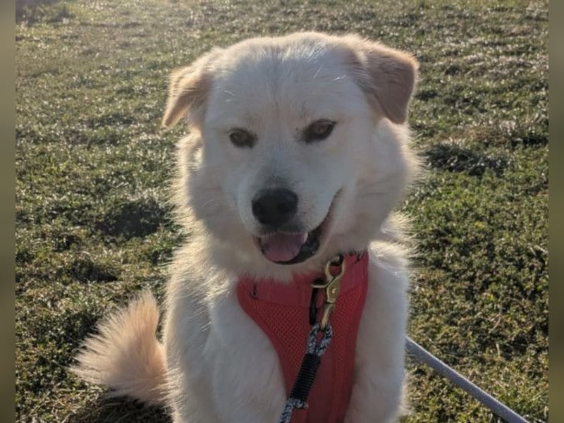 Cindy ❤️ wartet in 12529 Schönefeld