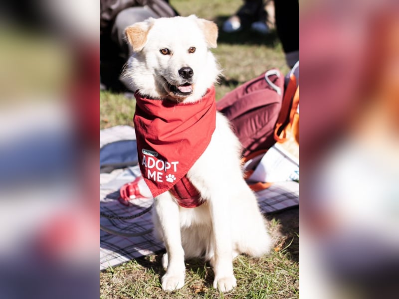 Cindy ❤️ wartet in 12529 Schönefeld