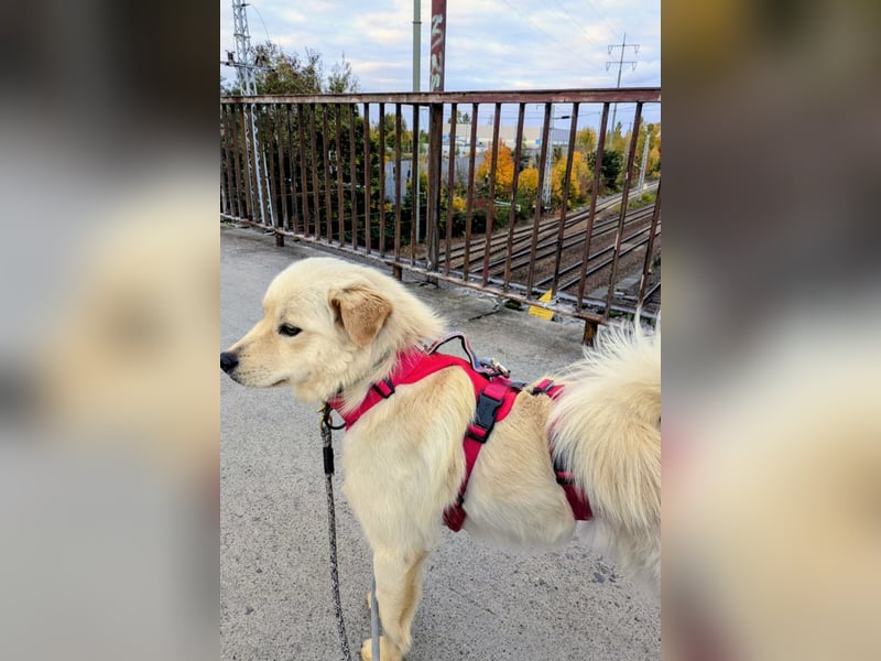 Cindy ❤️ wartet in 12529 Schönefeld