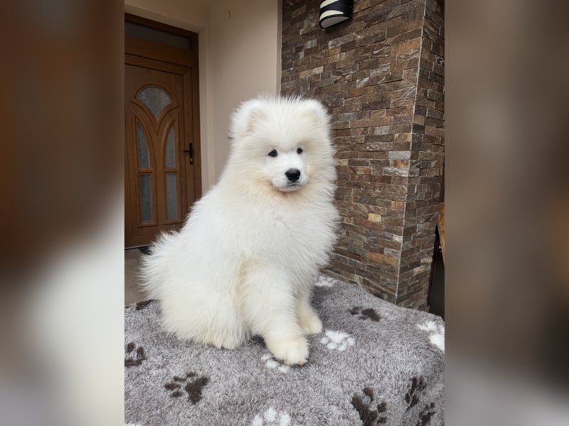 Amadeus Snowcrystals of Victoria