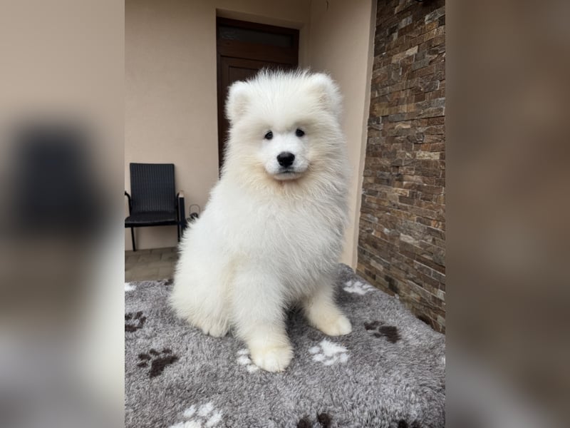 Amadeus Snowcrystals of Victoria