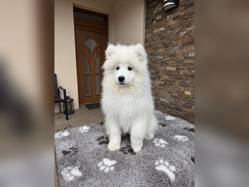 Aurora Snowcrystals of Victoria