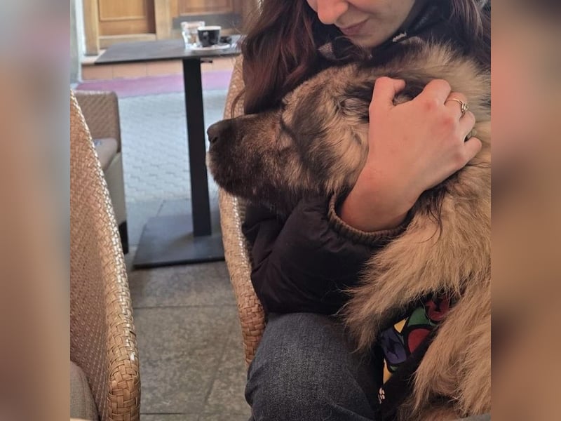 Die wundervolle Lili sucht ein Zuhause ❤️