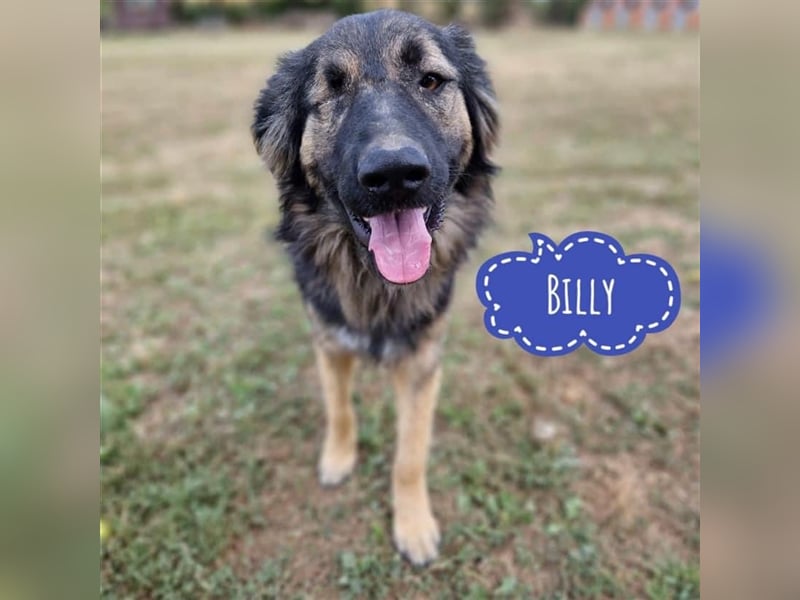 Billy wartet und wartet…