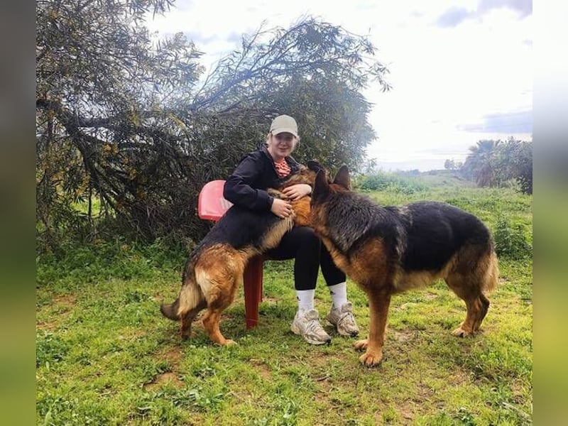 Lolita (Spanien) - freundliche Schäferhunddame
