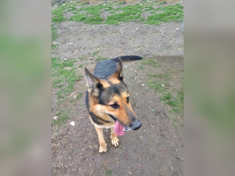 Noah, menschenbezogen und freundlich